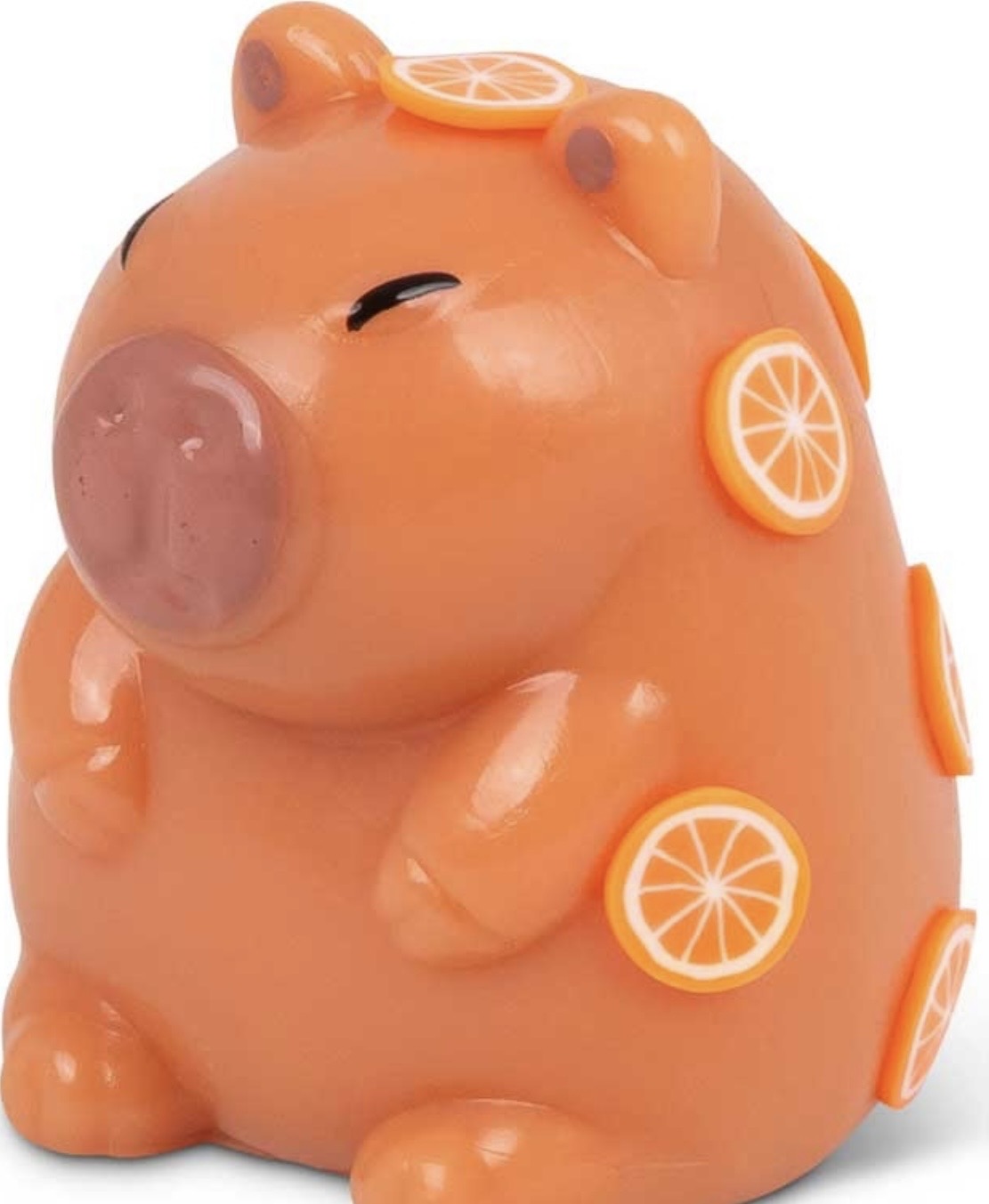 Sticky Squishy Capybara- Scrunchems