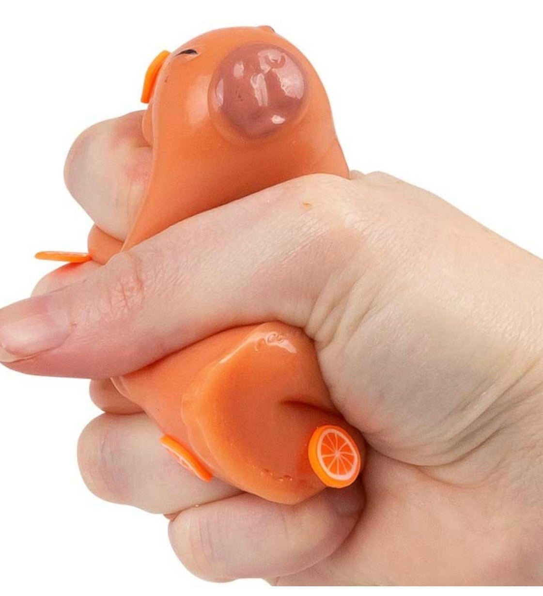 Sticky Squishy Capybara- Scrunchems